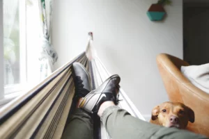 Mijn hond volgt mij overal