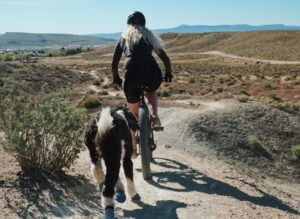 Vanaf welke leeftijd mag je met een hond fietsen?