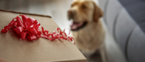 Top 10 cadeautjes voor je hond