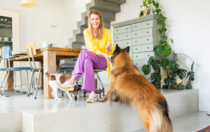 Hondencoach in Zeist - gedragsproblemen honden