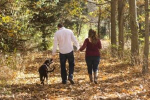 Hoe leer ik mijn hond wandelen zonder trekken?