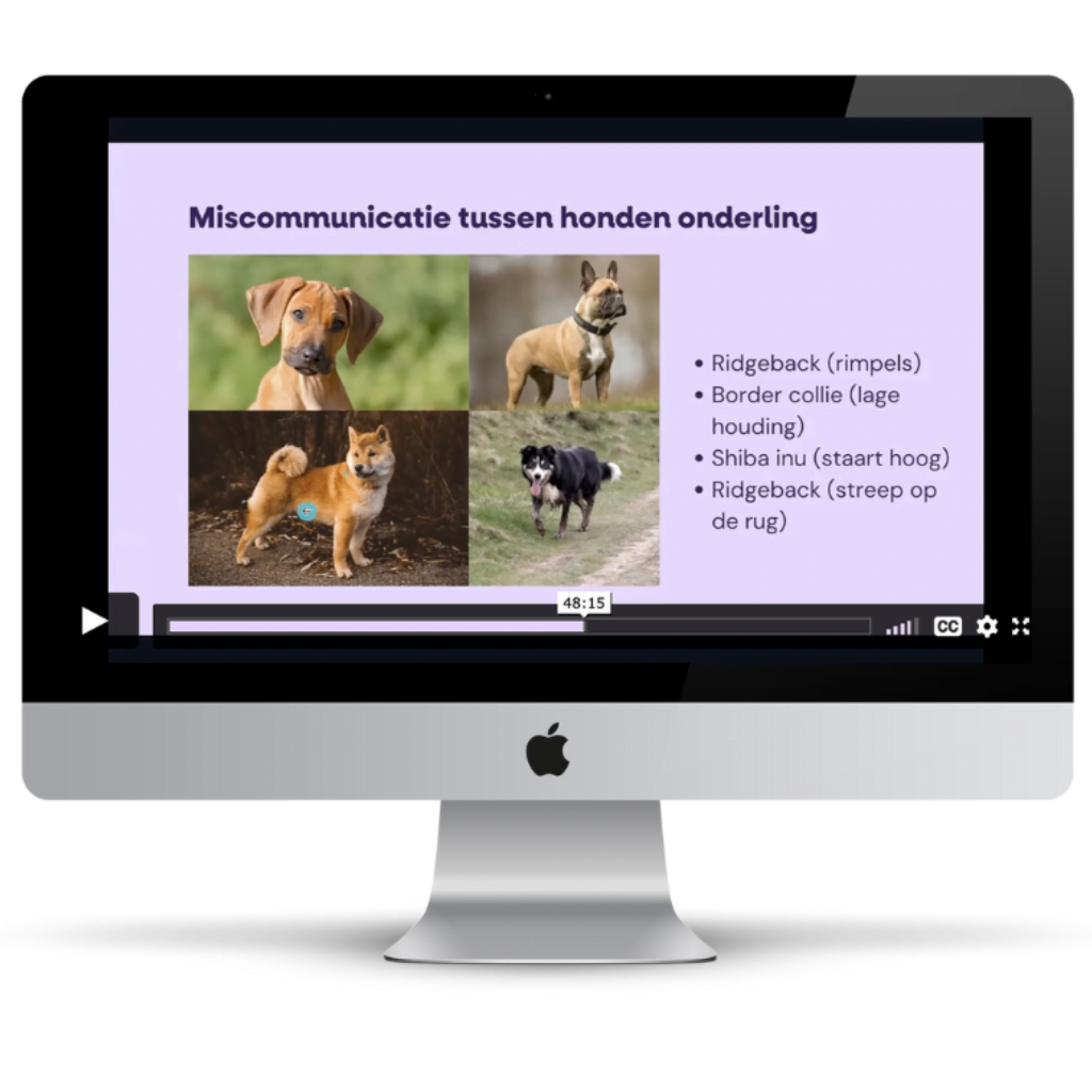 Lezing lichaamstaal honden