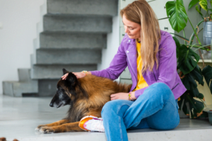 manieren om je hond rustig te krijgen
