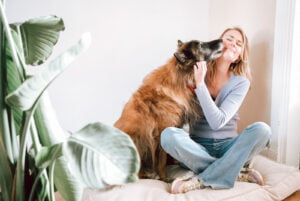 Happy Animal grote hondenmand