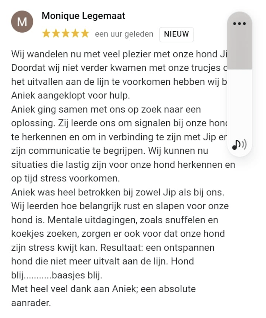 Review Aniek Wendt