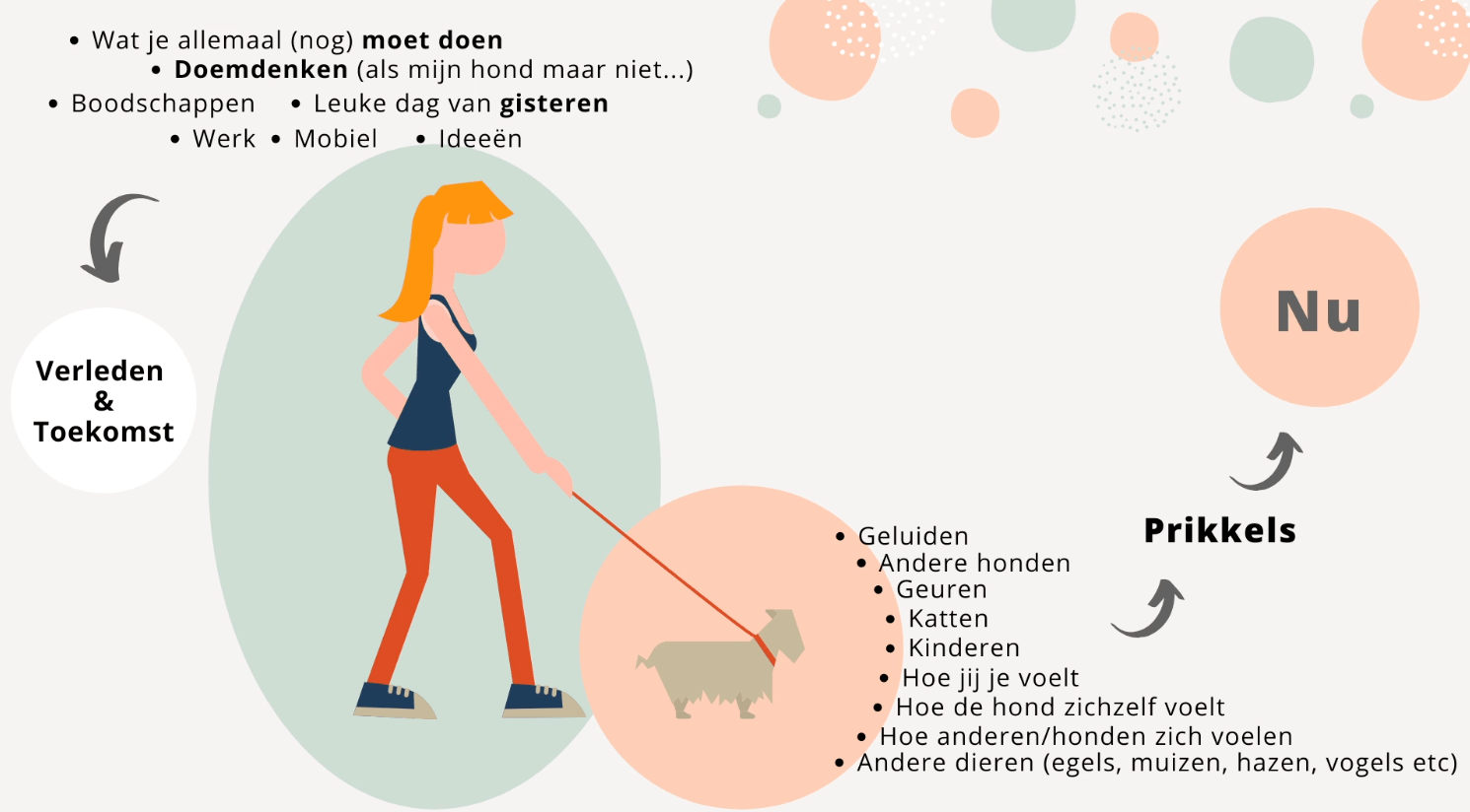 Wandelmeditatie hond