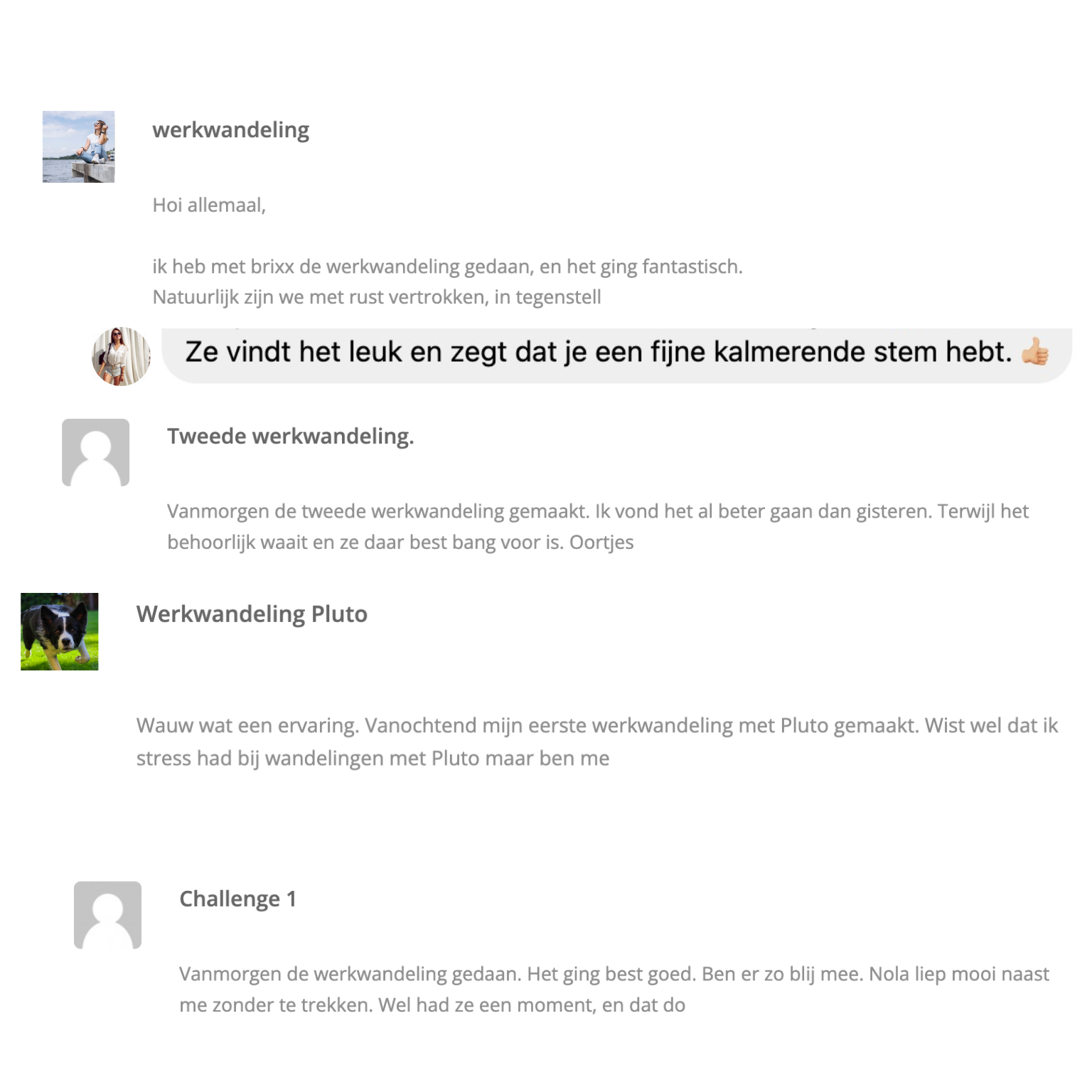 Wandelmeditatie hond