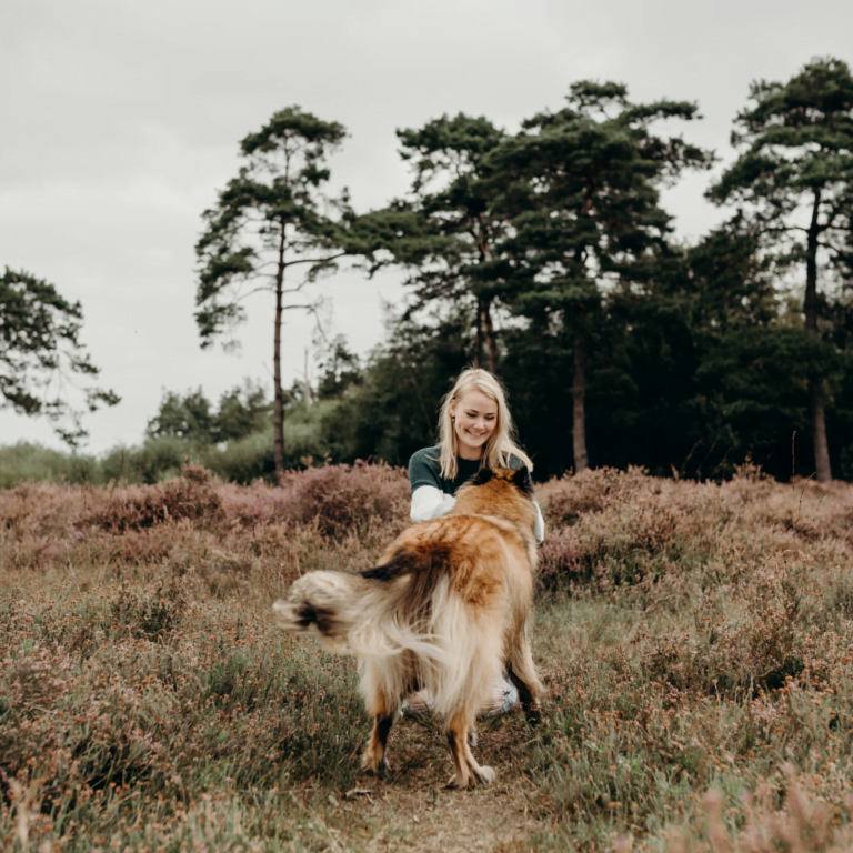 Hondencoach in Zwolle