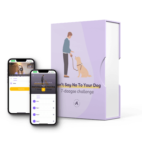 Don't say no to your dog challenge