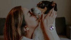Kan je je hond ook betuttelen?