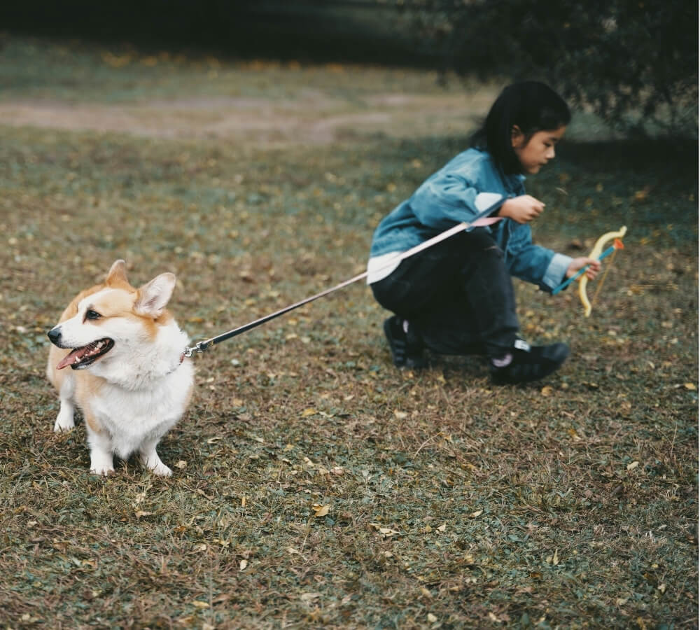 Kindvriendelijke honden: wat voor honden zijn dat en bestaan die eigenlijk wel?