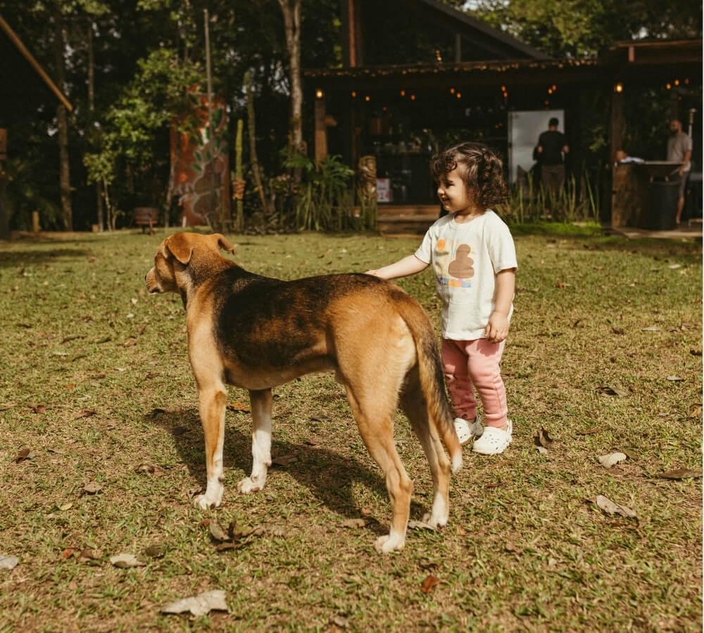 Kindvriendelijke honden: wat voor honden zijn dat en bestaan die eigenlijk wel?
