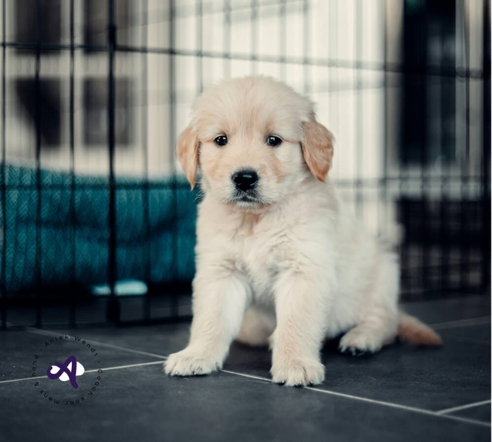 Meer rust in de opvoeding: zo ontwikkel je nuchterheid en zelfvertrouwen