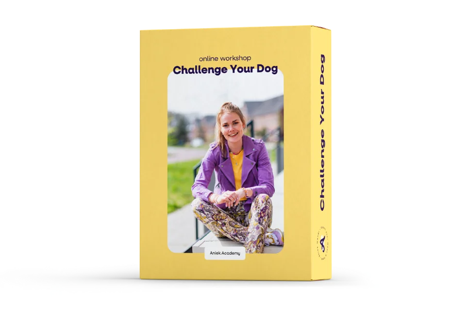 Challenge your Dog