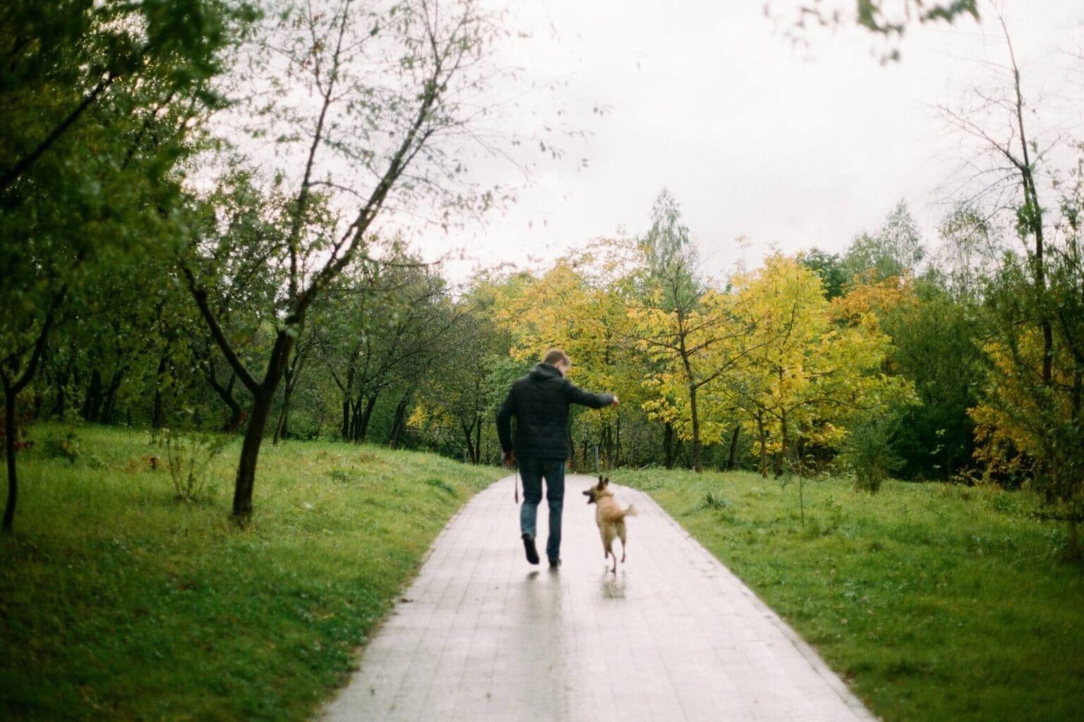 Hoe win je het vertrouwen van je hond?