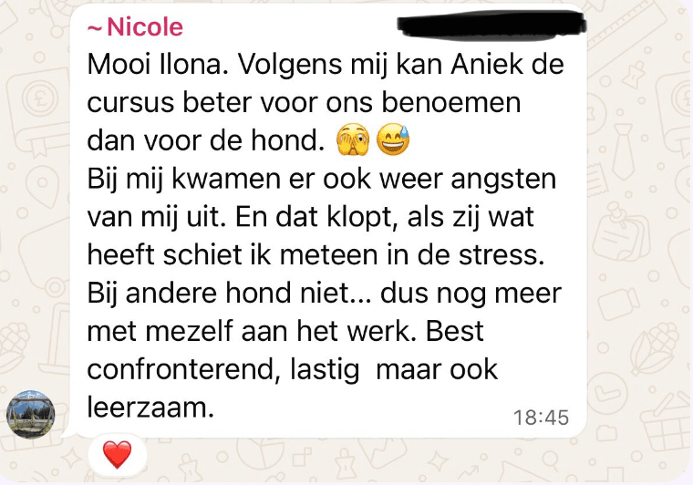 review cursus