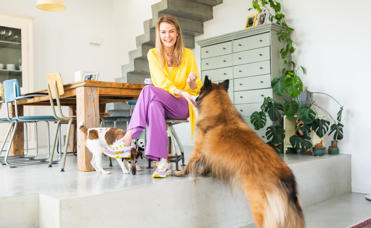 Hondencoach in Zeist - gedragsproblemen honden