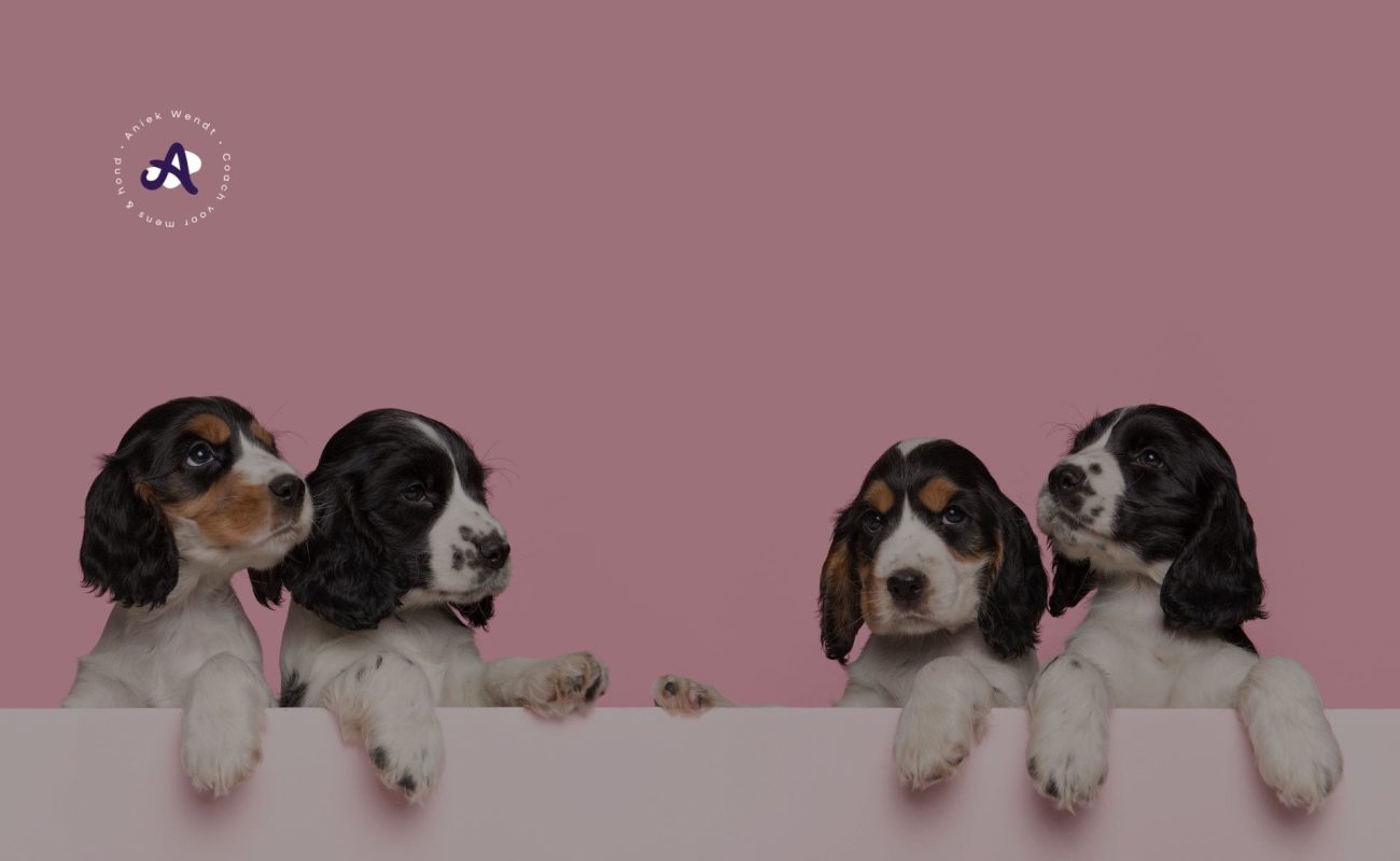 Hoe moet je een puppy opvoeden?