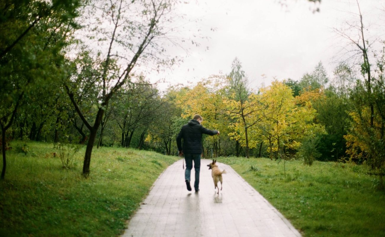 Hoe win je het vertrouwen van je hond?