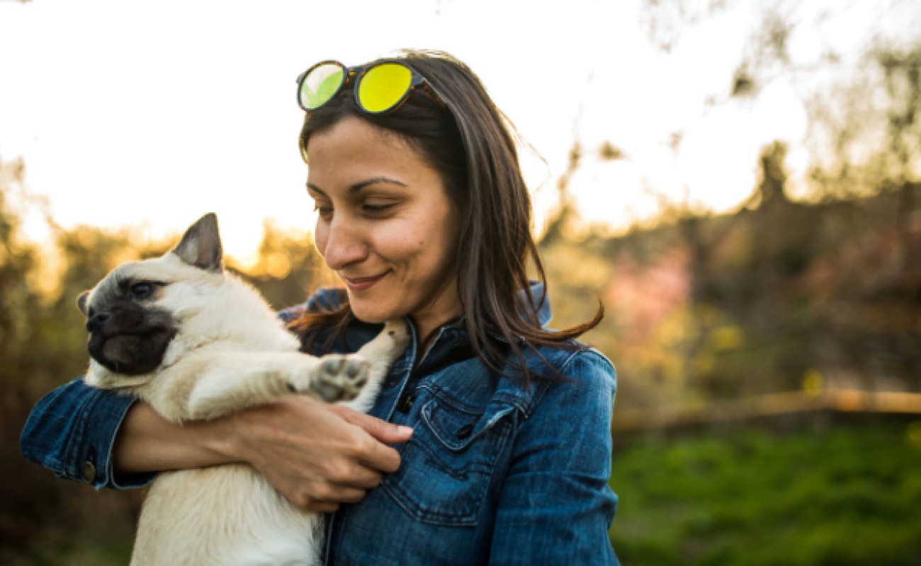 Wat betekent als hond wegkijkt?