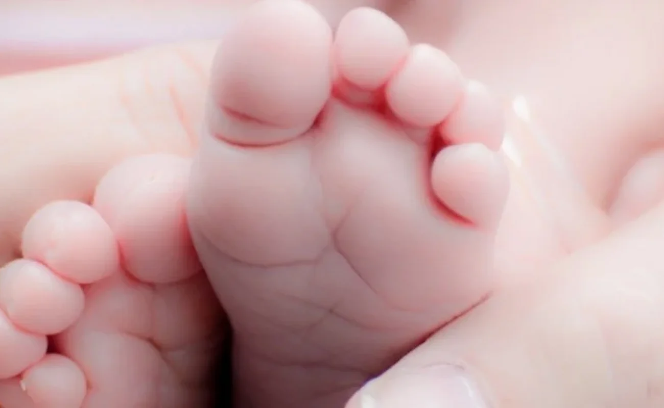 Kan een hond samen met een baby? Kan een hond samen met een baby?