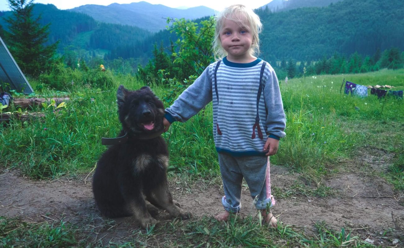 Kindvriendelijke honden: wat voor honden zijn dat en bestaan die eigenlijk wel?